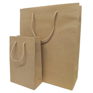 Tragtaschen ohne Druck Papier Premium Aarau