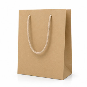 Tragtaschen ohne Druck Papier Premium Davos